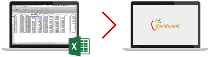 Import Spreadsheet - Items Data